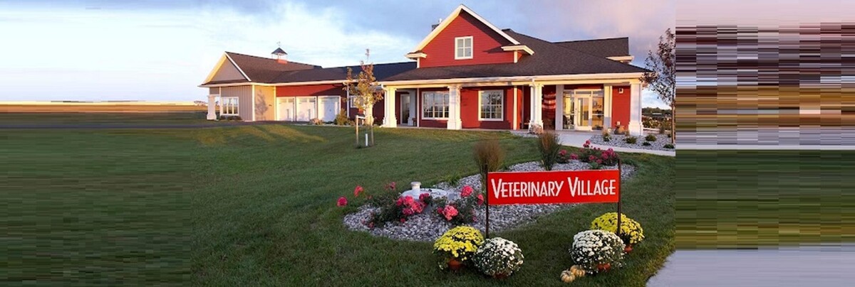 Images Veterinary Village ICSB WI/IL Brownsville Lomira Small Animal Clinic