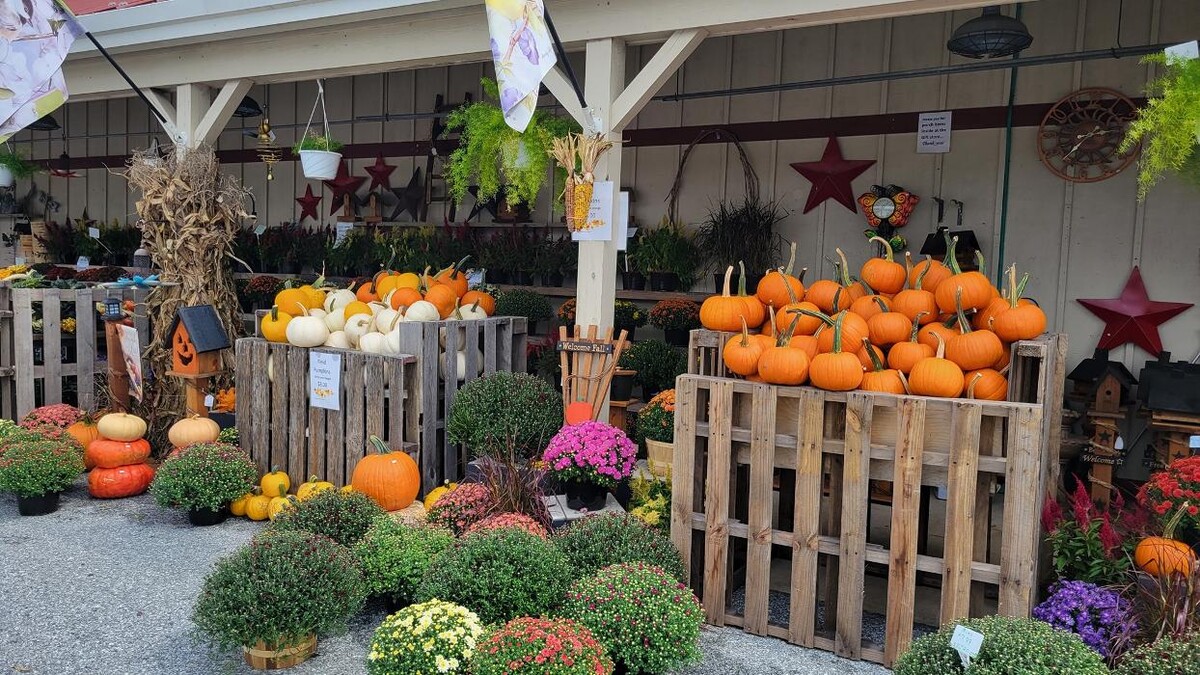 Images Penn Dutch Furniture