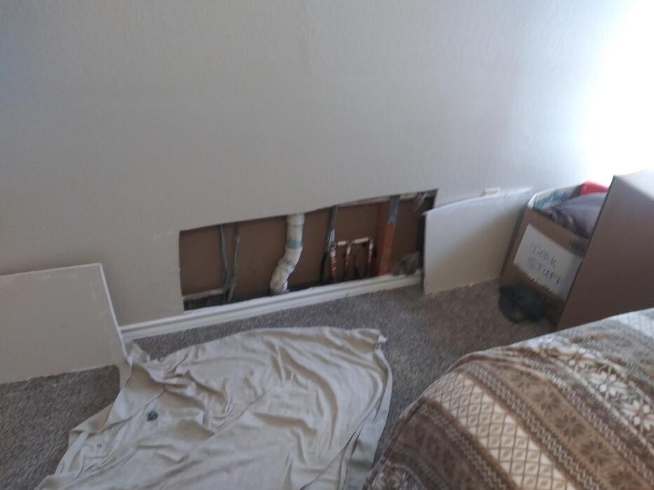 Images Plano Plumbing & Leak Detection