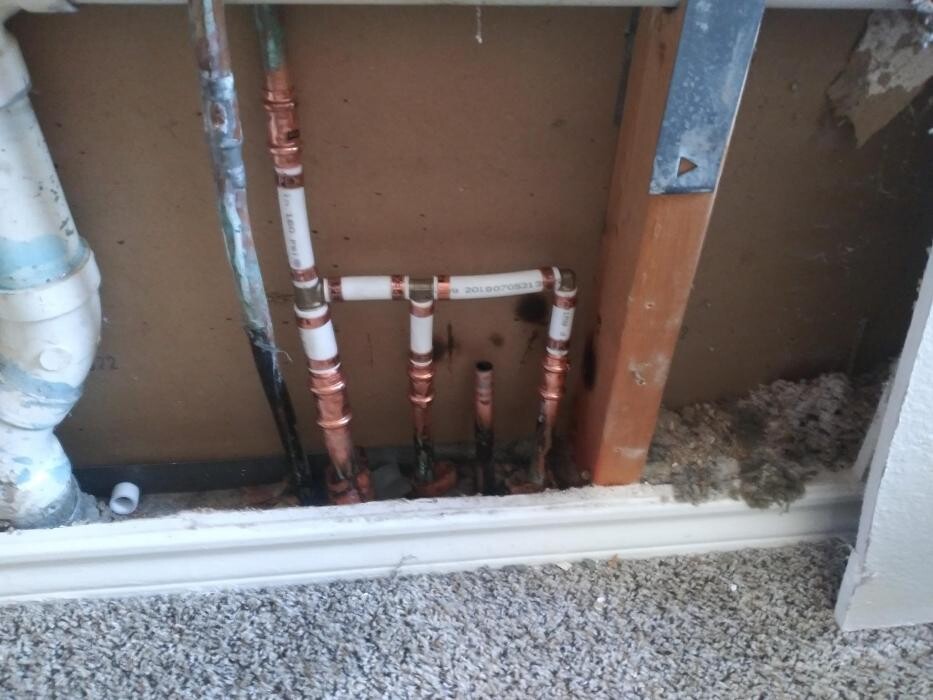 Images Plano Plumbing & Leak Detection