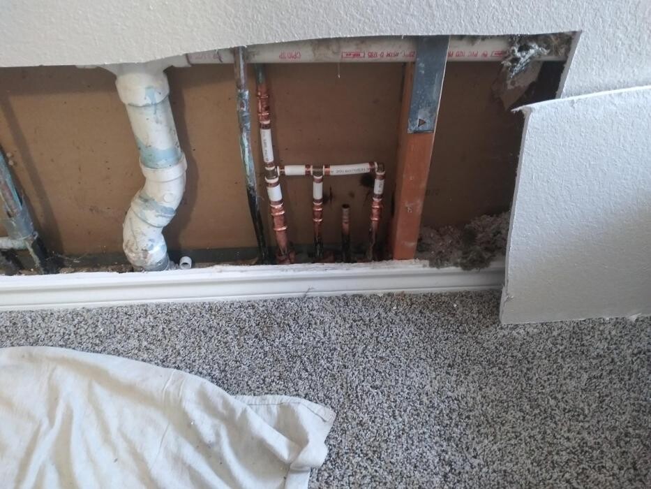 Images Plano Plumbing & Leak Detection