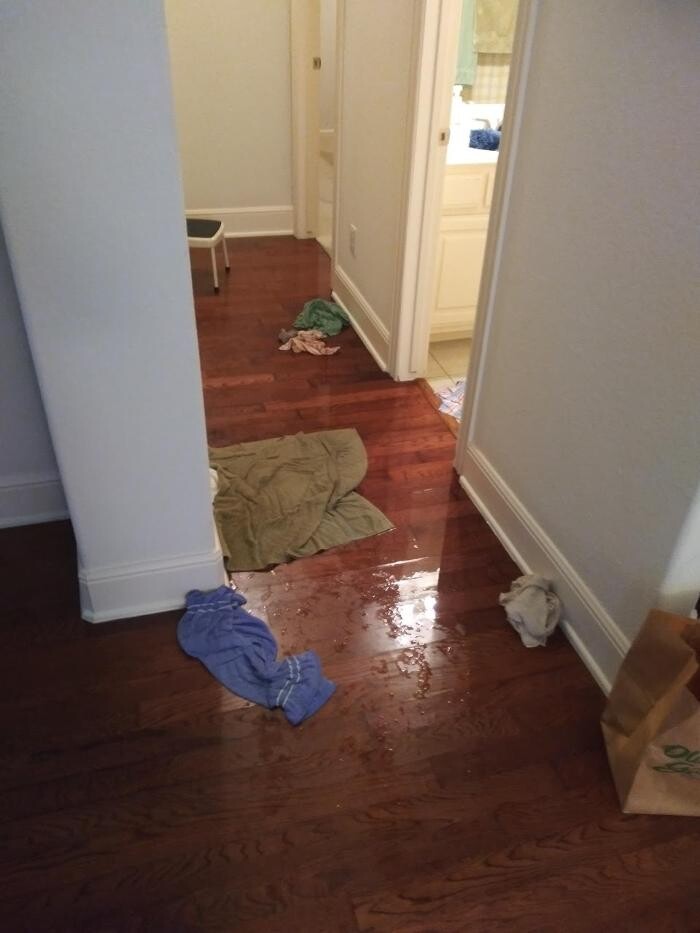 Images Plano Plumbing & Leak Detection