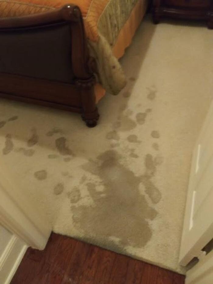 Images Plano Plumbing & Leak Detection