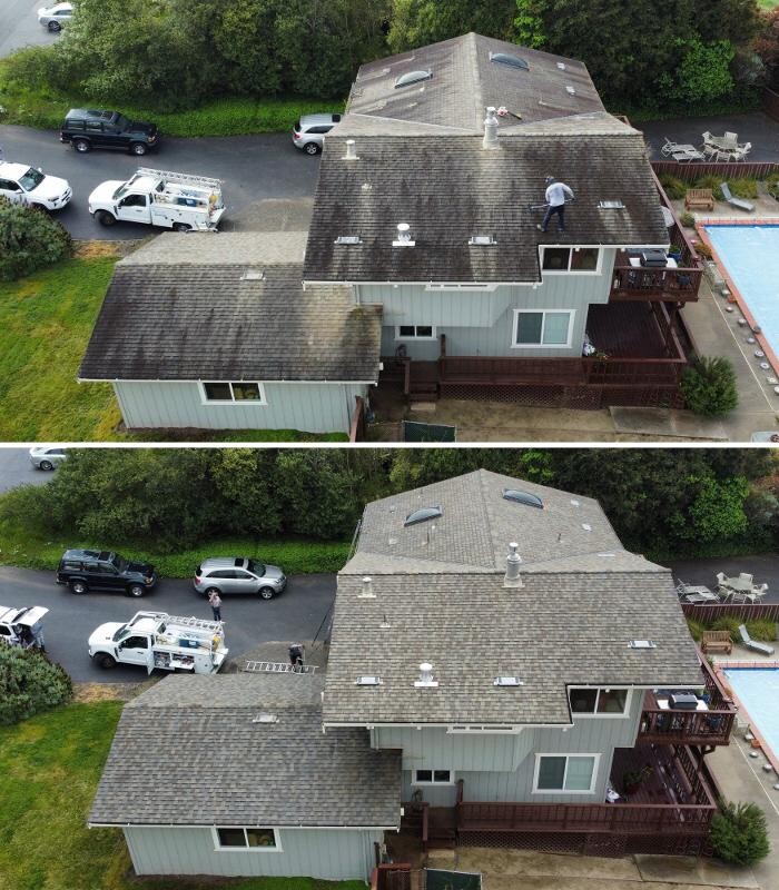 Images Pacific Exterior