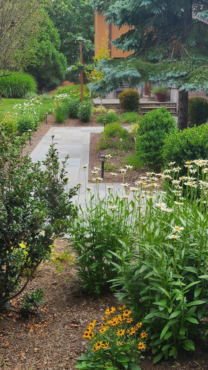 Images DELIS Landscaping