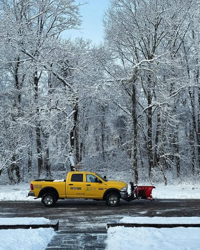 Images DELIS Landscaping