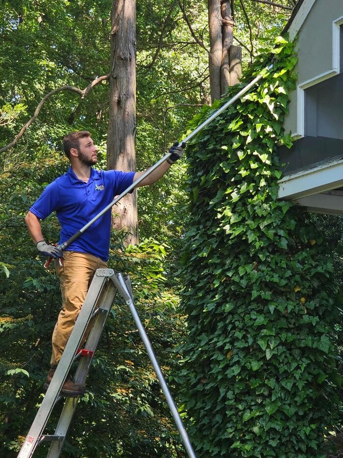 Images DELIS Landscaping