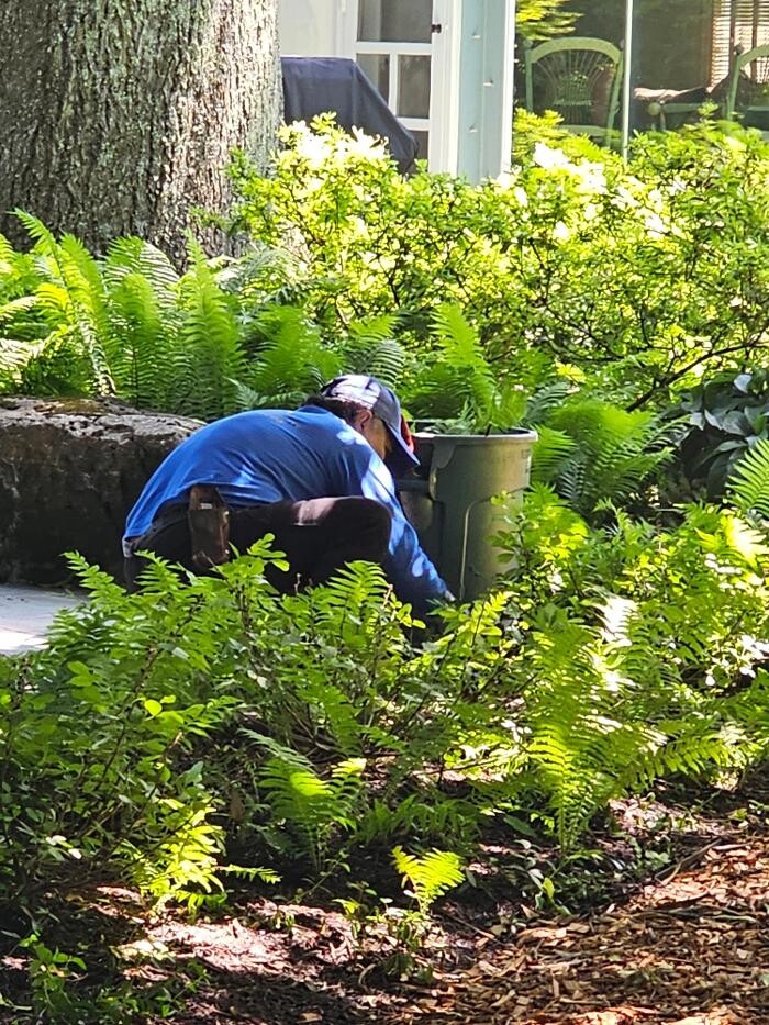 Images DELIS Landscaping