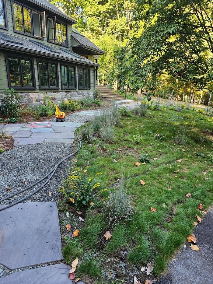 Images DELIS Landscaping