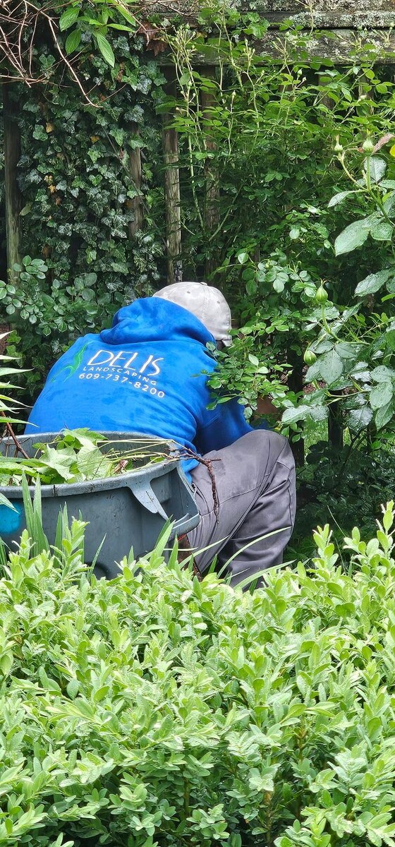 Images DELIS Landscaping