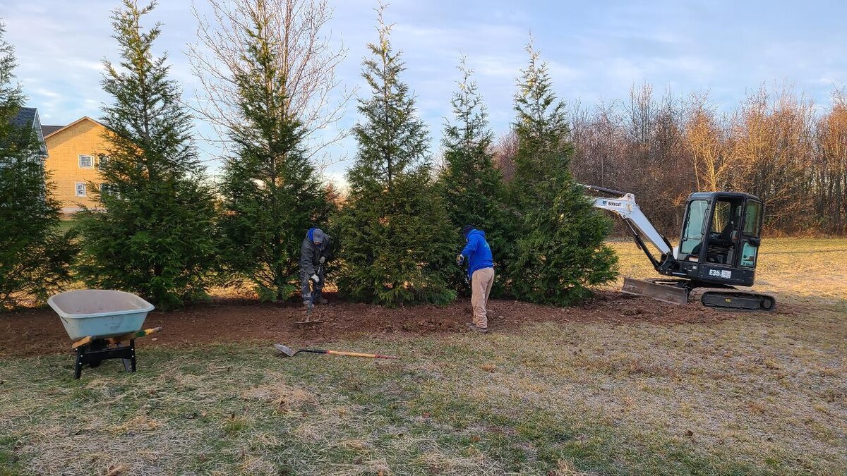 Images DELIS Landscaping