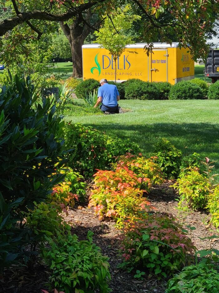 Images DELIS Landscaping