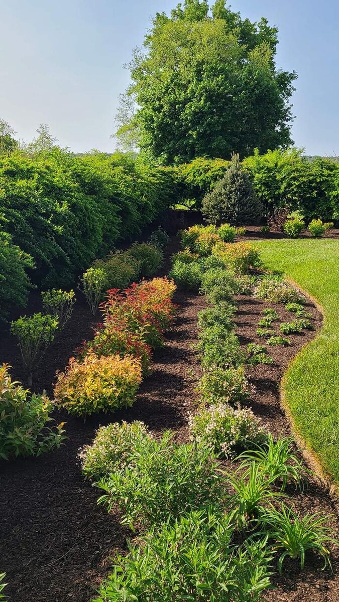 Images DELIS Landscaping