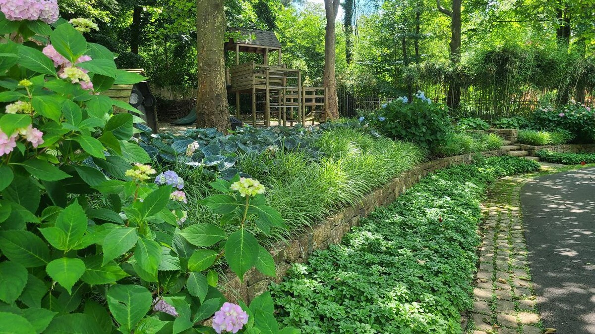 Images DELIS Landscaping