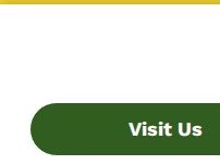 Website Screenshot Wong's Products, LLC