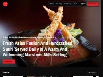 Website Screenshot Saga Fusion