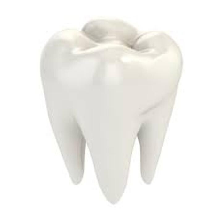 Marian Mobile Dental Services Logo
