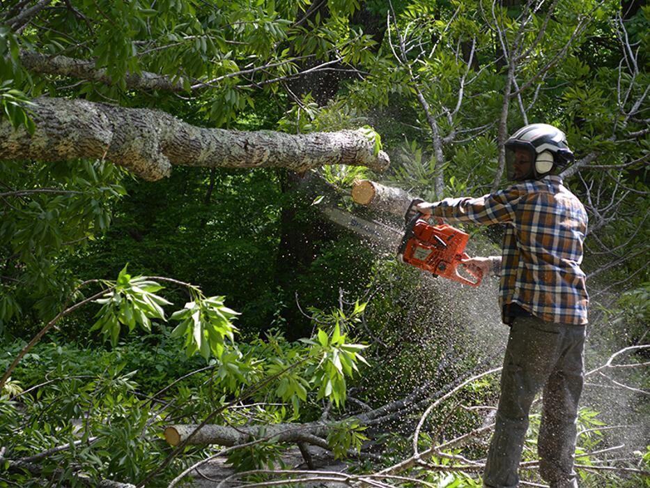 Images Krohn Kutz Tree Service