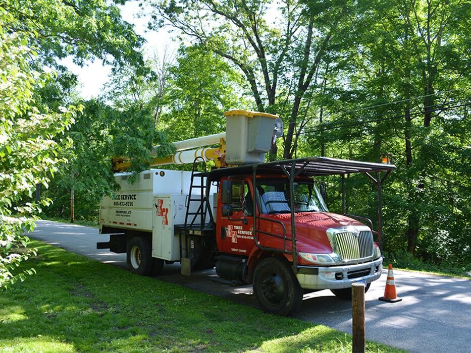 Images Krohn Kutz Tree Service