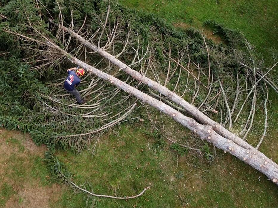 Images Krohn Kutz Tree Service