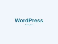 Website Screenshot Precision Dent Removal