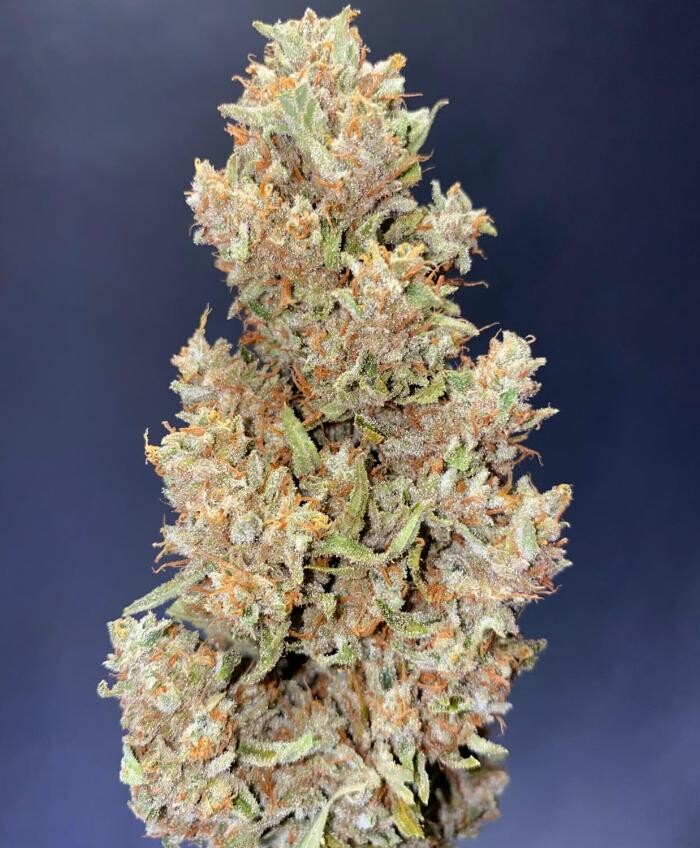 Images High West Cannabis