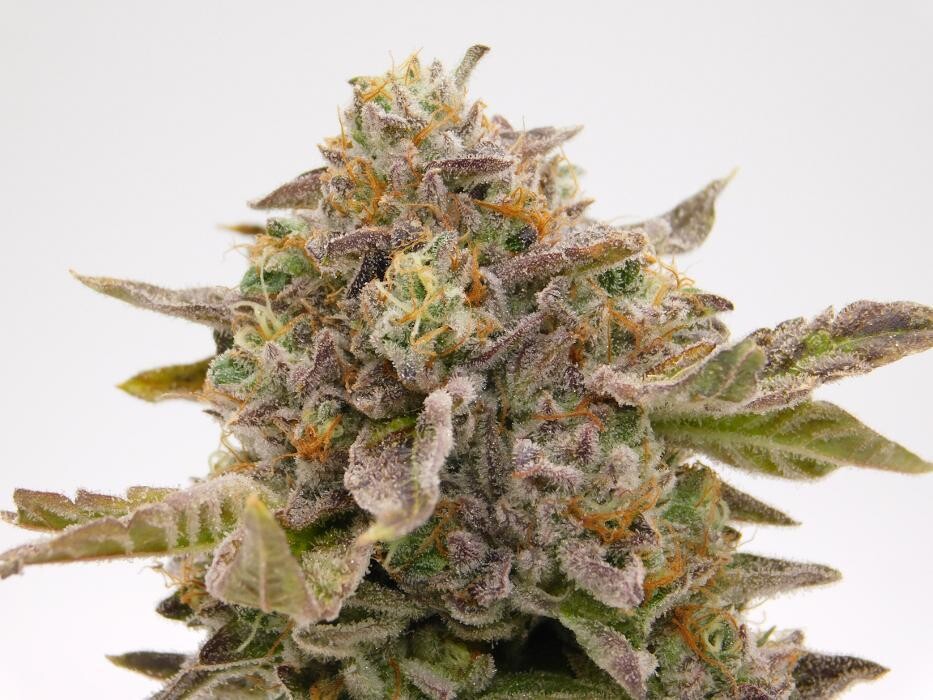 Images High West Cannabis