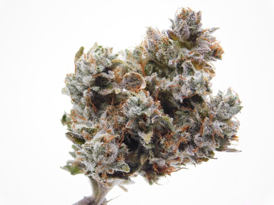 Images High West Cannabis