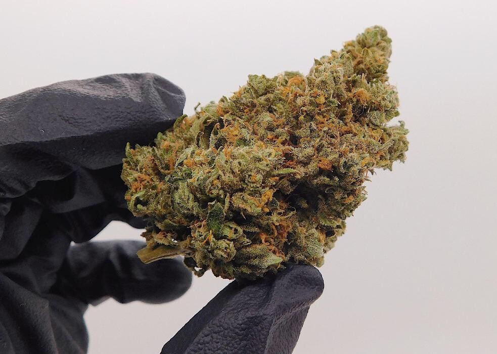 Images High West Cannabis