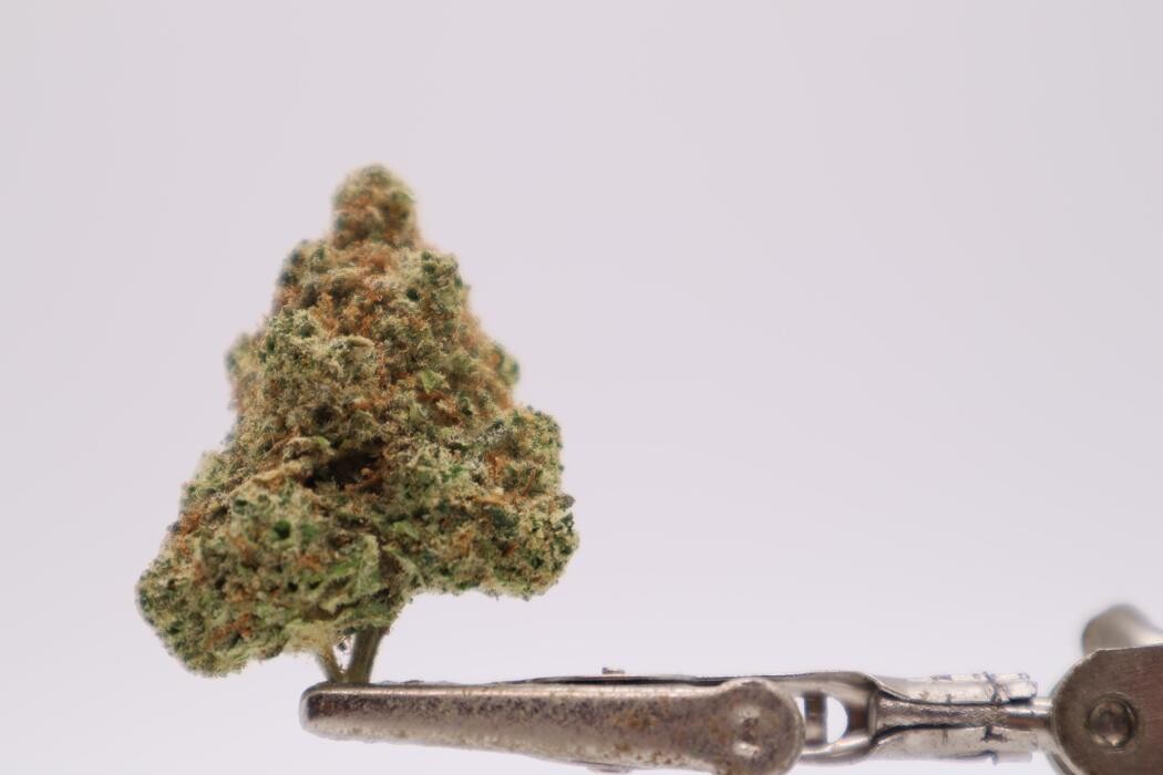 Images High West Cannabis