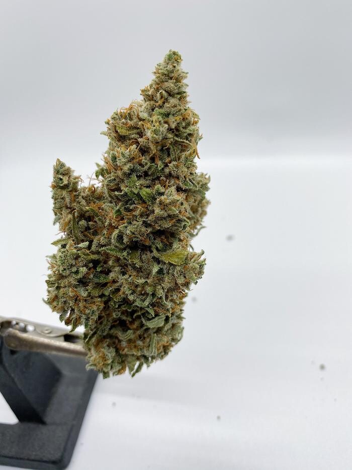 Images High West Cannabis