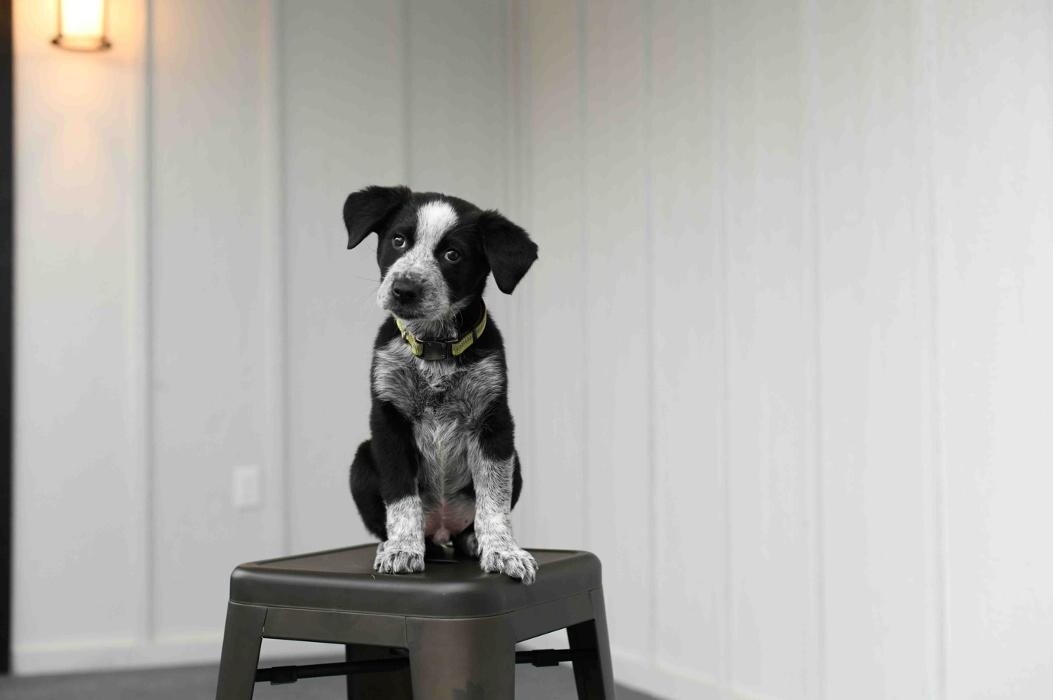 Images American Pacific Mortgage Northwest