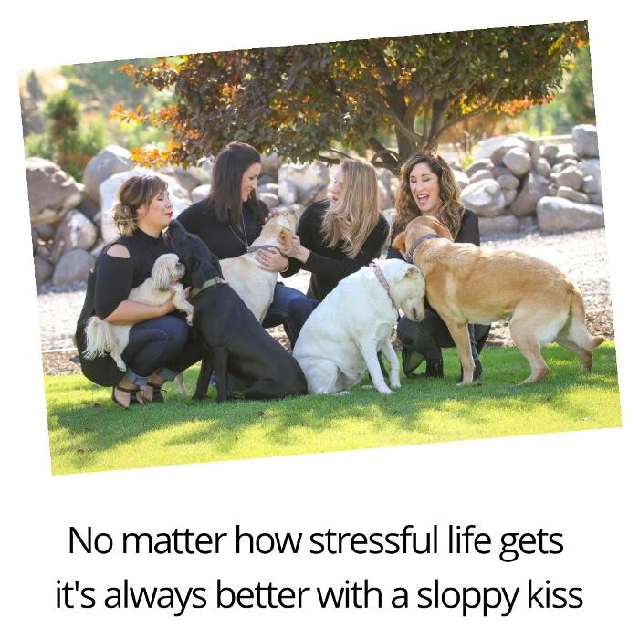 Images American Pacific Mortgage Northwest