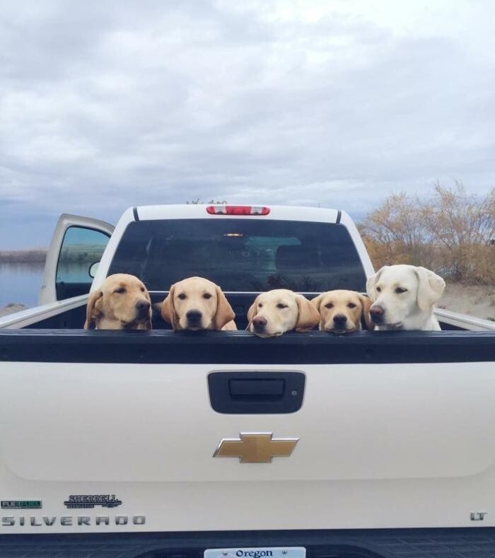 Images American Pacific Mortgage Northwest