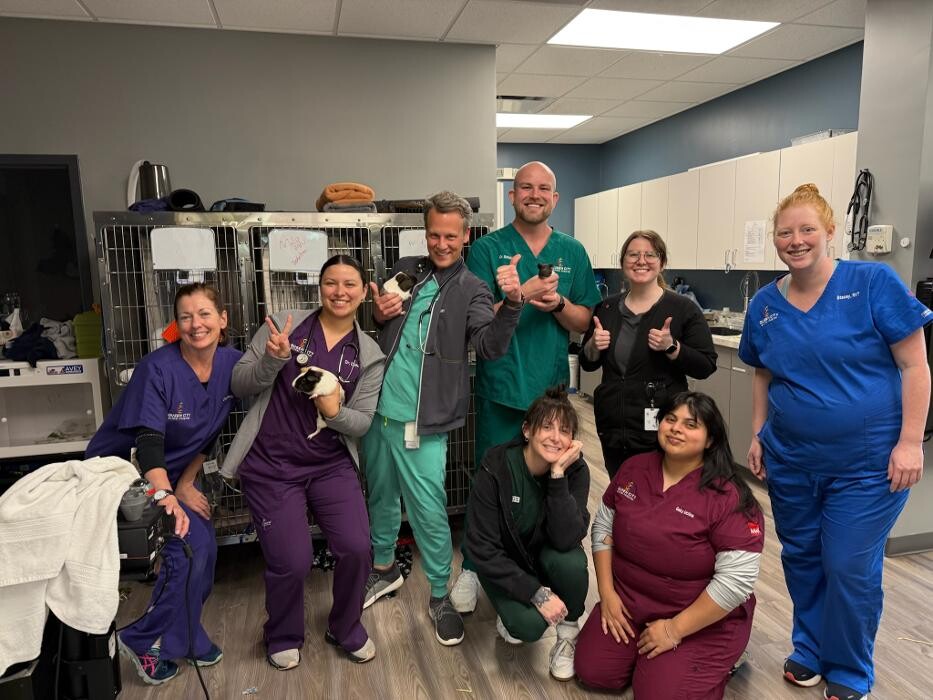 Images Queen City Animal Hospital