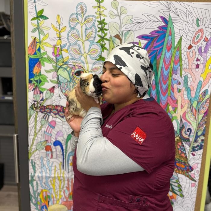 Images Queen City Animal Hospital