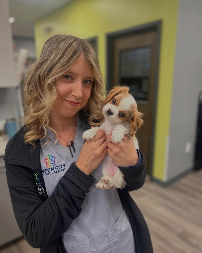 Images Queen City Animal Hospital