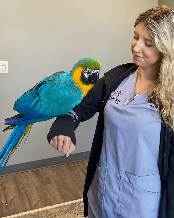 Images Queen City Animal Hospital