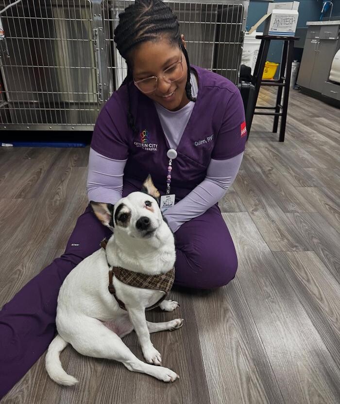 Images Queen City Animal Hospital