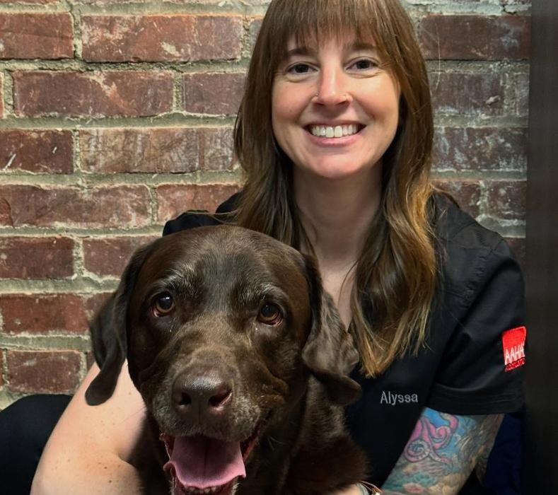 Images Queen City Animal Hospital