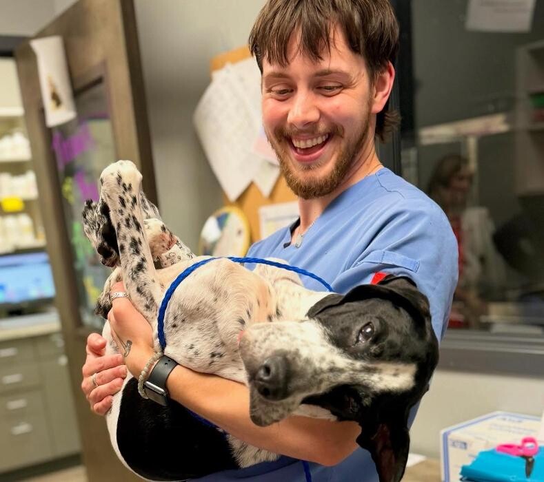 Images Queen City Animal Hospital