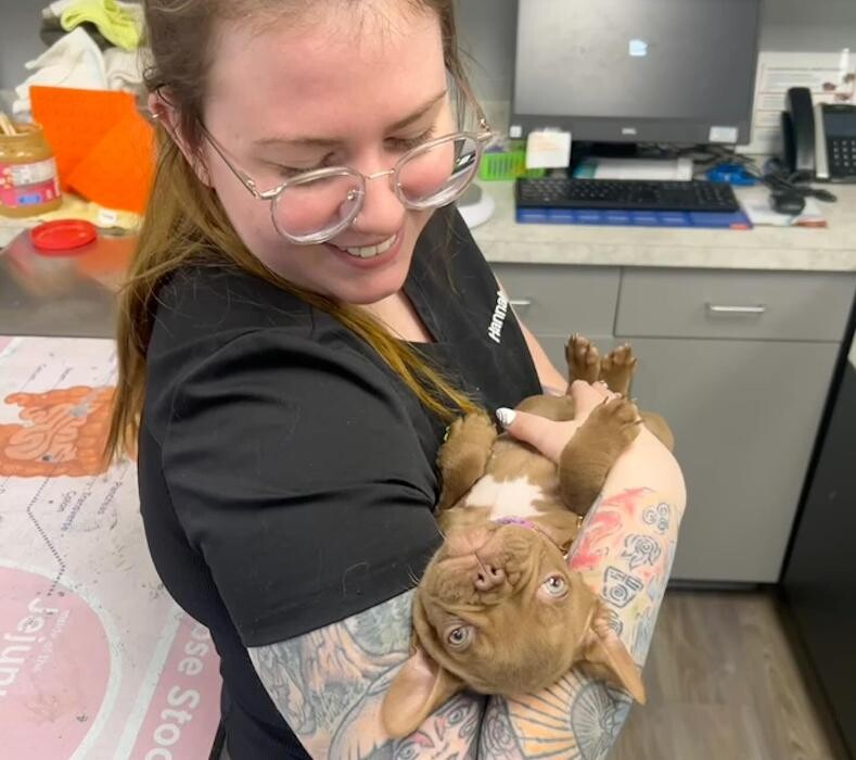 Images Queen City Animal Hospital