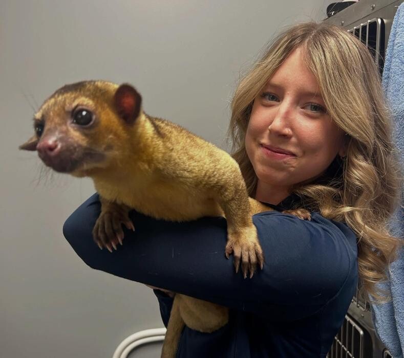 Images Queen City Animal Hospital