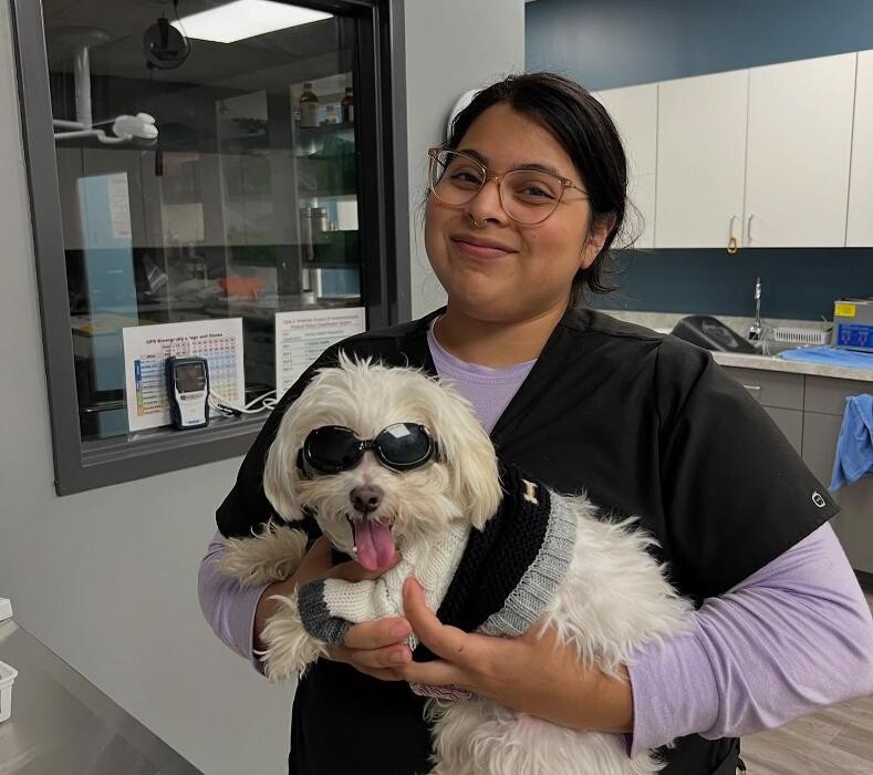 Images Queen City Animal Hospital