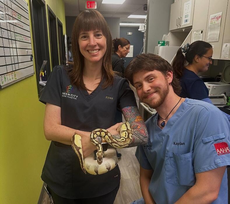 Images Queen City Animal Hospital