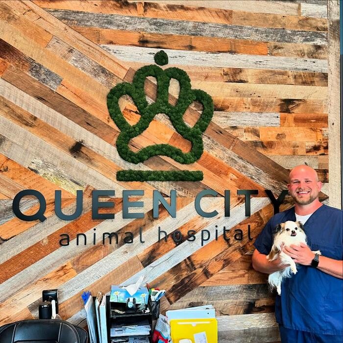 Images Queen City Animal Hospital