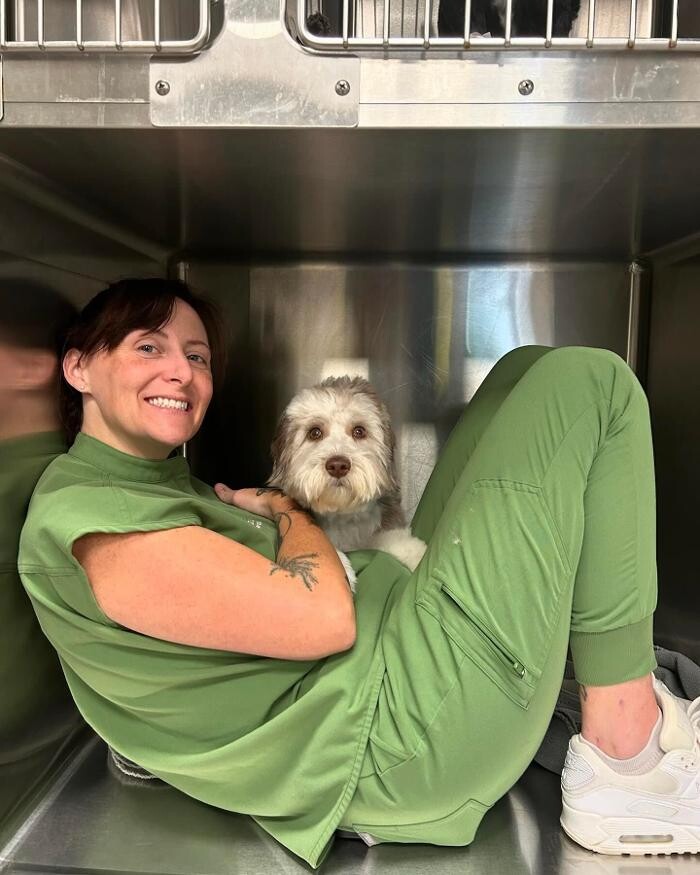 Images Queen City Animal Hospital