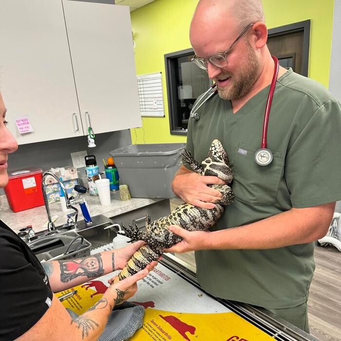 Images Queen City Animal Hospital