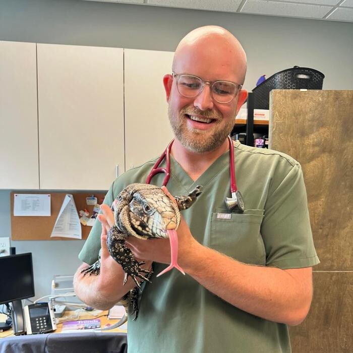 Images Queen City Animal Hospital