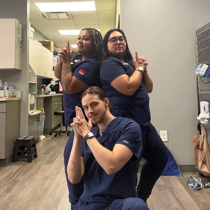 Images Queen City Animal Hospital